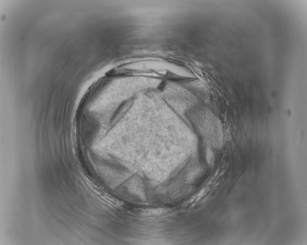 X0000069790342200606161803