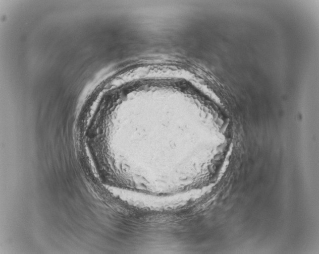 X0000069790343200606161804