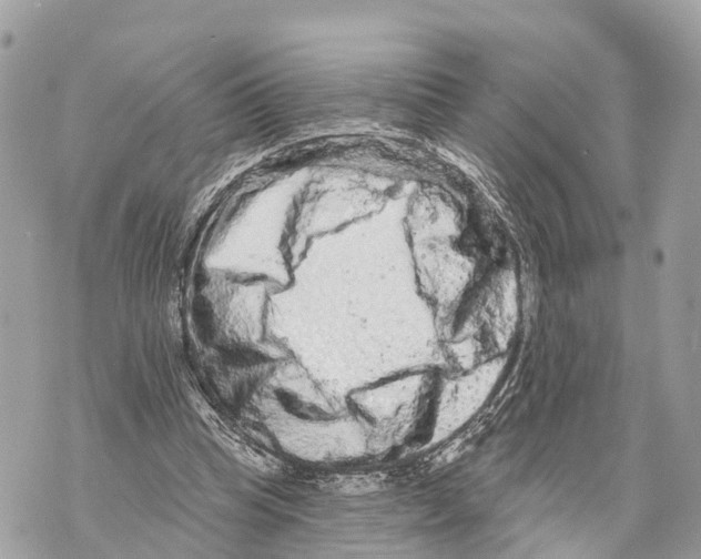 X0000069790345200606161804