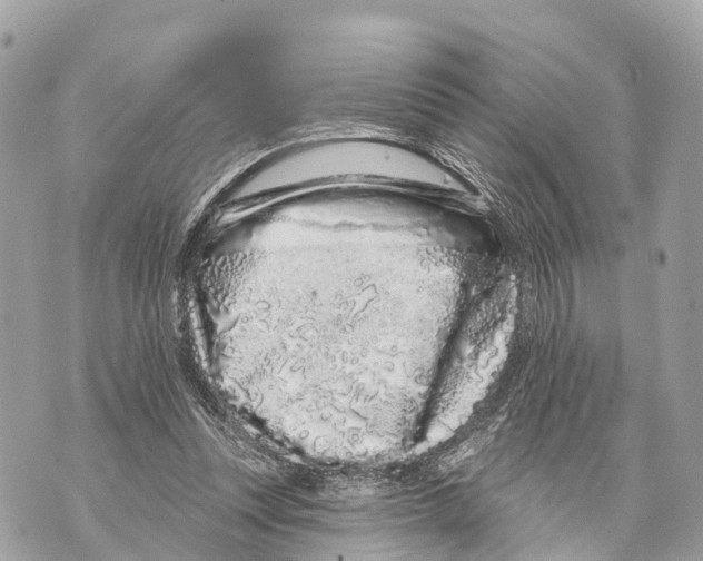 X0000069790351200606161804