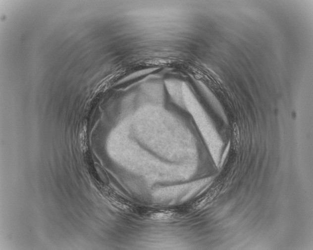 X0000069790364200606161804