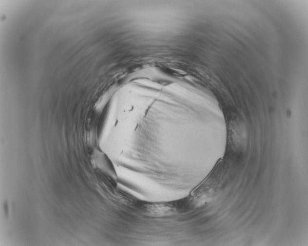 X0000069790380200606161804