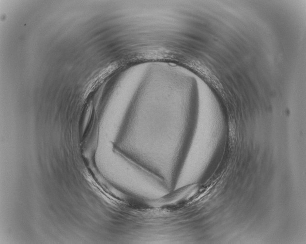 X0000069790397200606161803