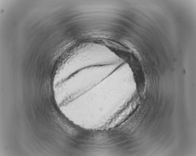 X0000069790398200606161803
