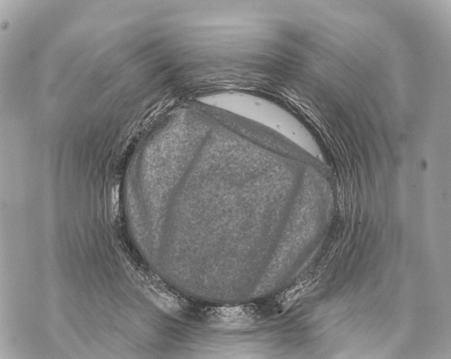 X0000069790406200606161803