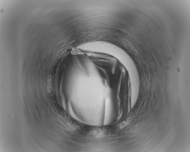 X0000069790416200606161803