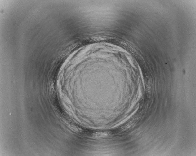 X0000069790418200606161803