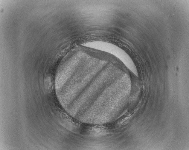 X0000069790420200606161803