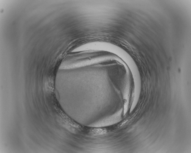X0000069790421200606161803