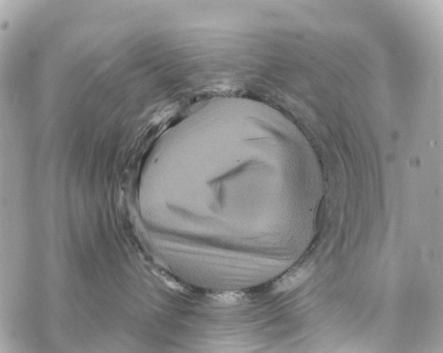 X0000069790432200606161803