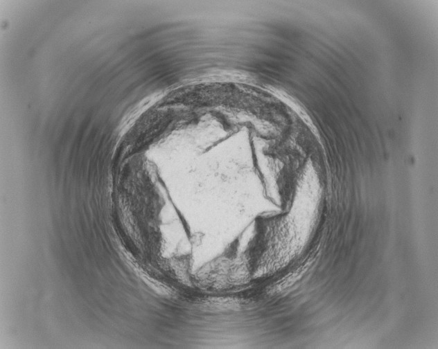 X0000069790437200606161802