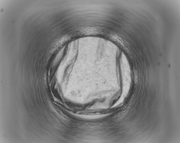 X0000069790447200606161802