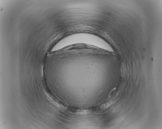 X0000069790454200606161802