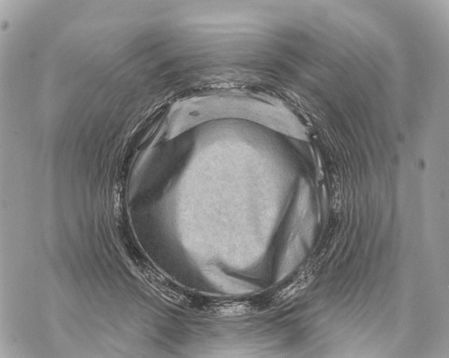X0000069790456200606161802