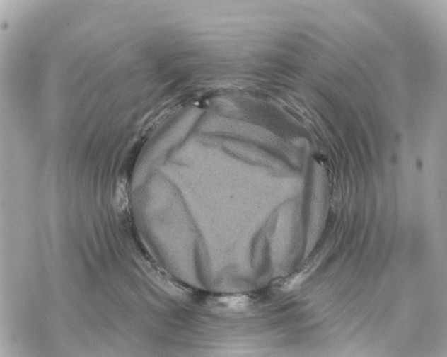 X0000069790478200606161803