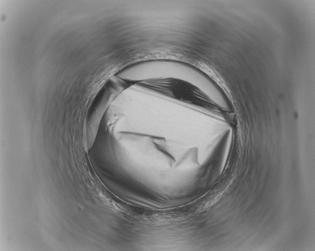 X0000069790481200606161802