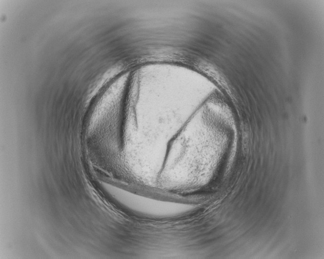 X0000069790482200606161802