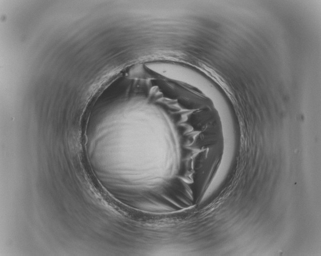 X0000069790485200606161802
