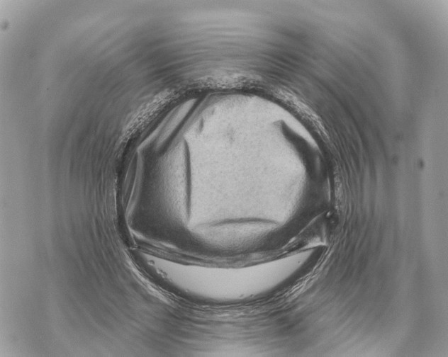 X0000069790493200606161802