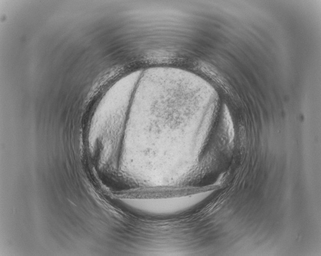 X0000069790494200606161802