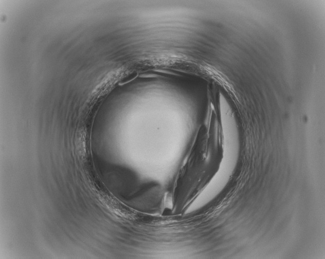 X0000069790501200606161802