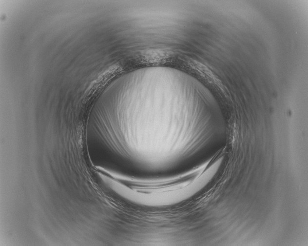 X0000069790505200606161801