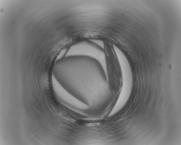 X0000069790508200606161801