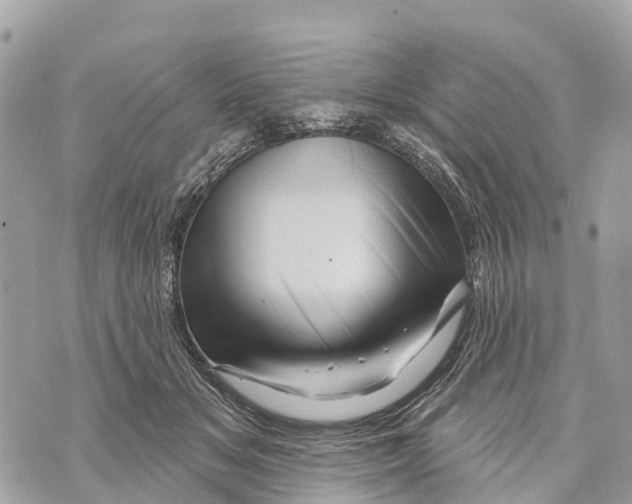 X0000069790509200606161801