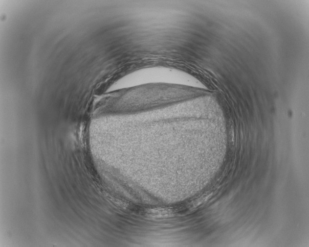 X0000069790511200606161801