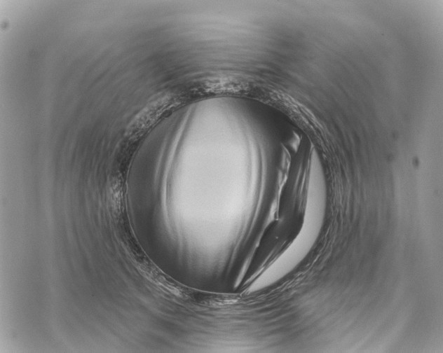 X0000069790513200606161801