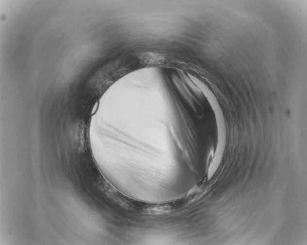 X0000069790525200606161801