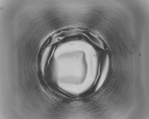 X0000069790536200606161800