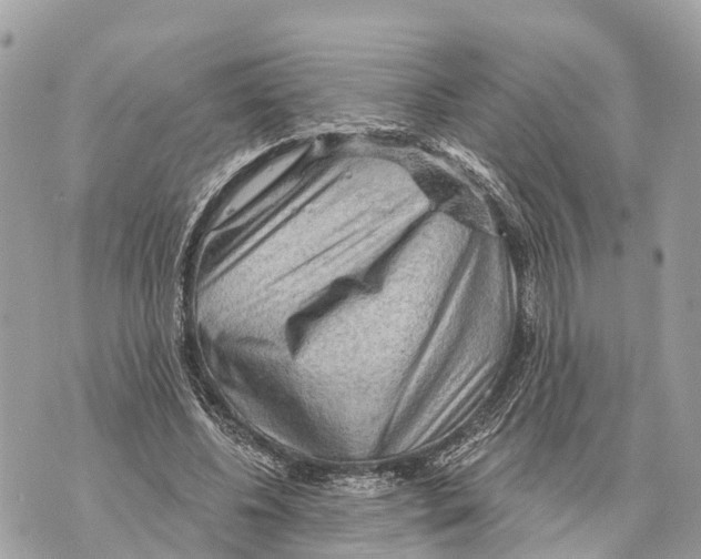 X0000069790540200606161800