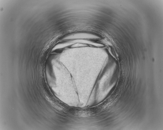 X0000069790542200606161800
