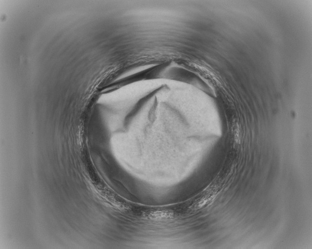 X0000069790546200606161800