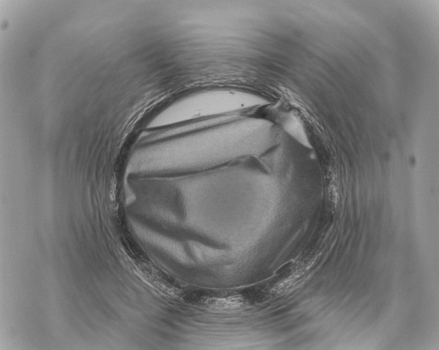 X0000069790548200606161801