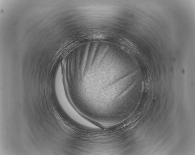 X0000069790552200606161801