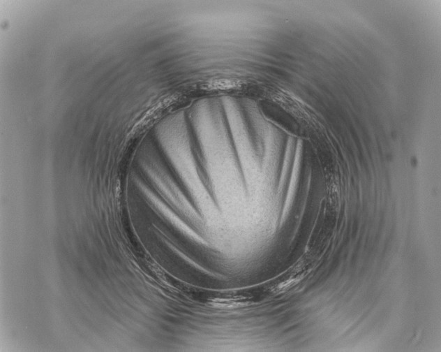 X0000069790556200606161801