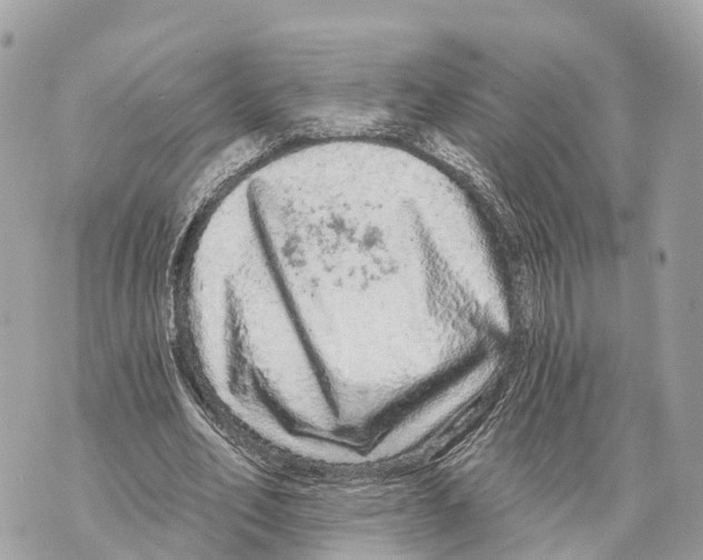 X0000069790582200606161800