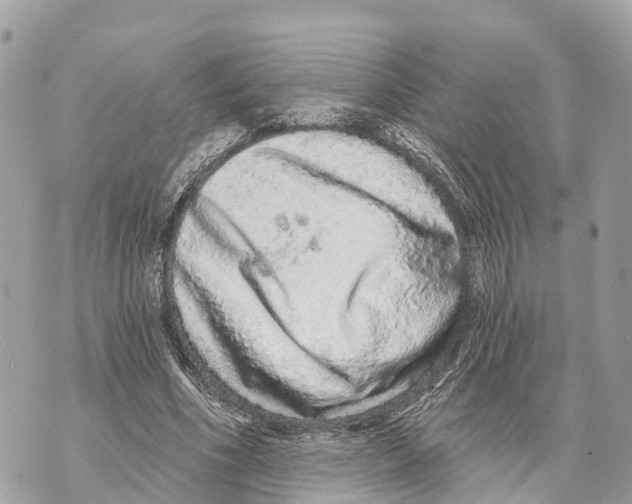 X0000069790586200606161800