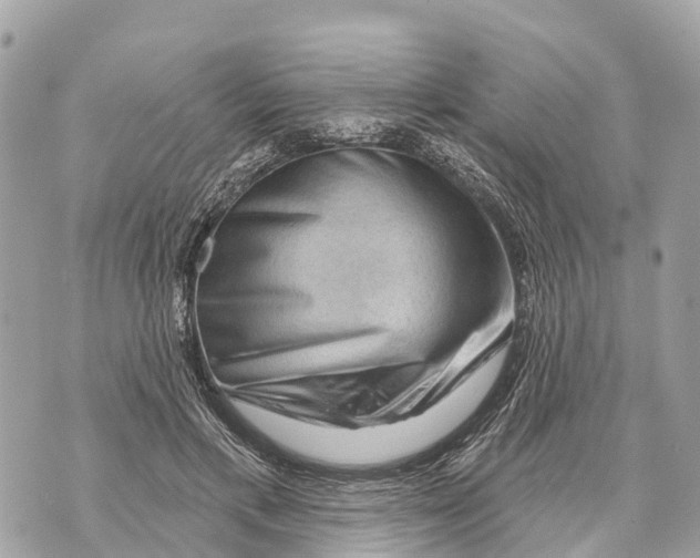 X0000069790597200606161800