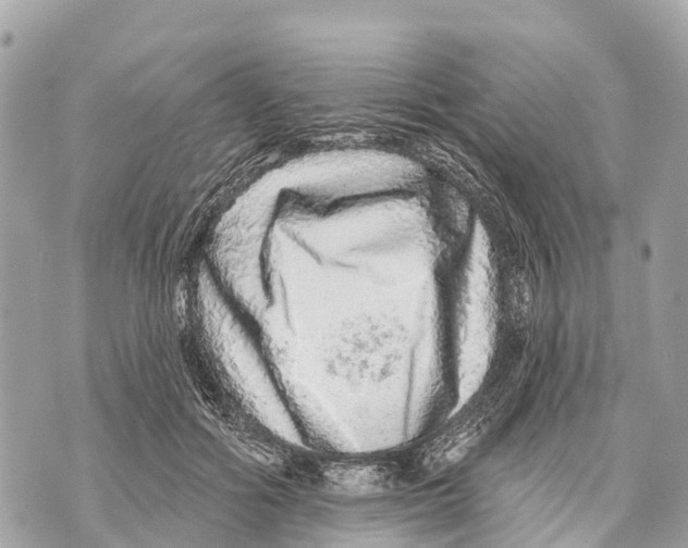 X0000069790602200606161800