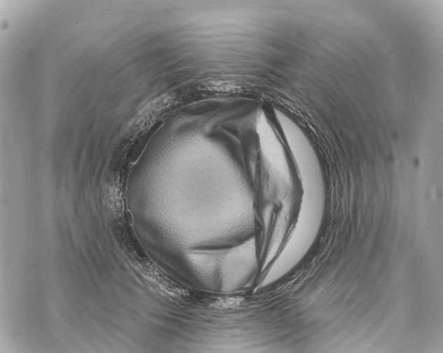 X0000069790609200606161800
