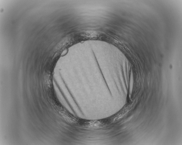 X0000069790612200606161800