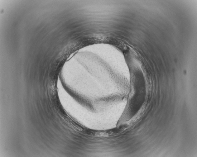 X0000069790613200606161800
