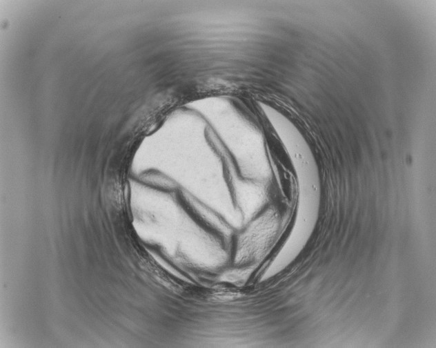 X0000069790617200606161800