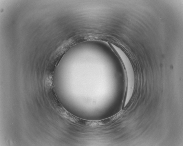X0000069790621200606161759