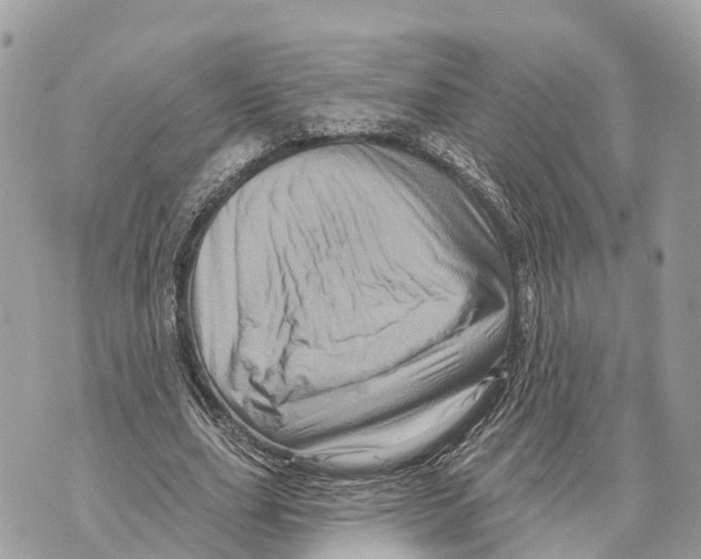 X0000069790631200606161759
