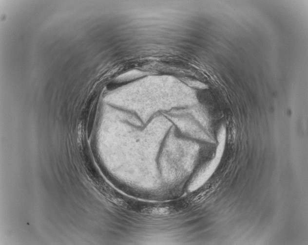 X0000069790647200606161759