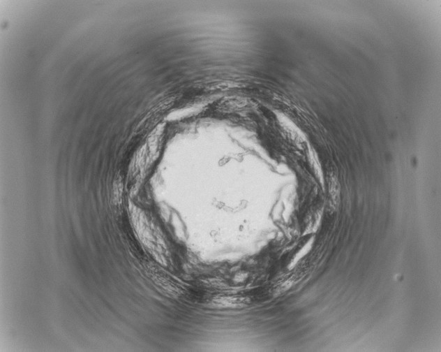 X0000069790657200606161759